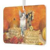 Pork Chop's Cute Cat Herfst / Thanksgiving Luchtverfrisser (Links)