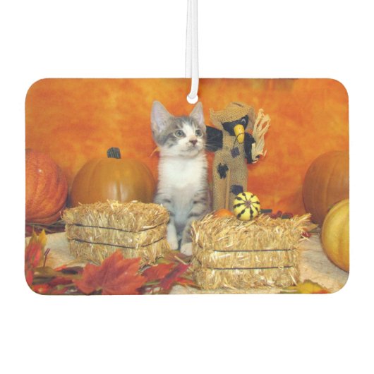 Pork Chop's Cute Cat Herfst / Thanksgiving Luchtverfrisser (Voorkant)