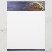 Pork Chops Flyer (Voorkant)