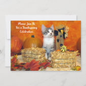 Pork Chop's Herfst / Autumn / Thanksgiving Cat Kaart (Voorkant)