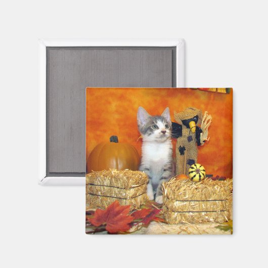 Pork Chop's Herfst Magnet - Cat / Kitten (Voorkant / Achterkant)