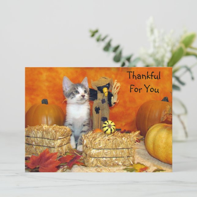Pork Chop's Thanksgiving Cat Flat Card (Staand voorkant)