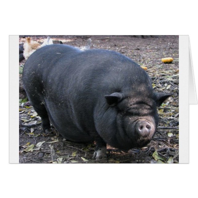 PORKER (Voorkant Horizontaal)