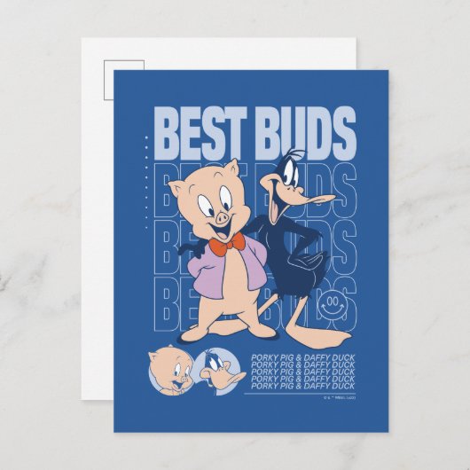 Porky Pig & DAFFY DUCK™ Best Buds Briefkaart (Voorkant / Achterkant)