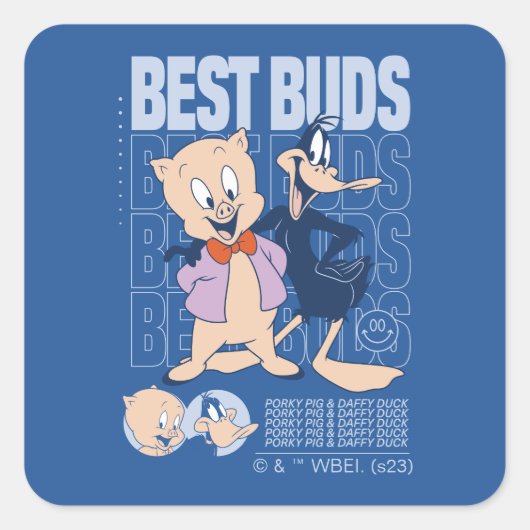 Porky Pig & DAFFY DUCK™ Best Buds Vierkante Sticker (Voorkant)