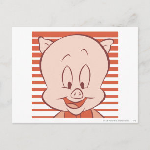 Porky Pig Expressive 23 Briefkaart