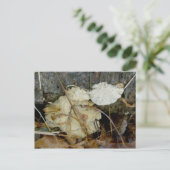 Porous Shelf Fungus Briefkaart (Staand voorkant)