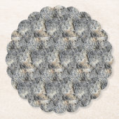 Porous Stone | Patroon in contanten | Kartonnen Onderzetters (Voorkant)