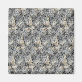 Porous Stone | Patroon in contanten | Magneet