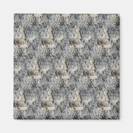 Porous Stone | Patroon in contanten | Magneet (Voorkant)