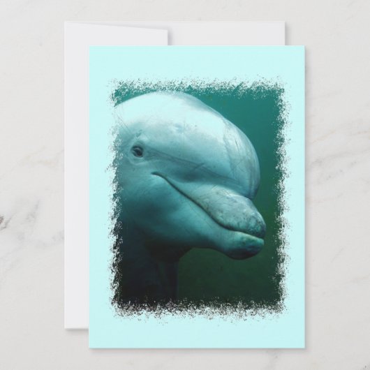 Porpoise Invitation Kaart (Voorkant)
