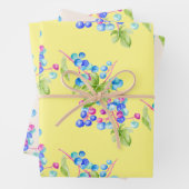 Porseleinen bessen op een wikkelpapier Sheet Set Inpakpapier Vel (In situ)