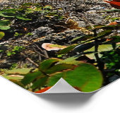 Port Antonio Jamaica Poster (Hoek)