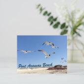 Port Aransas Beach Seagull Fotografie  Briefkaart (Staand voorkant)