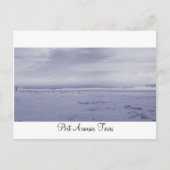 Port Aransas (Panoramisch) #2 Briefkaart (Voorkant)