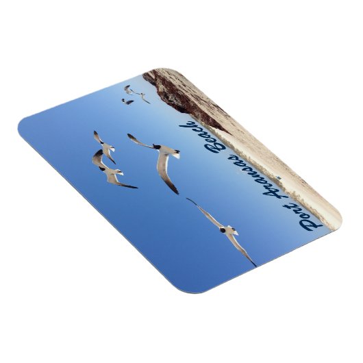 Port Aransas Seagull Fotografie  strand Magneet (Rechterzijde)