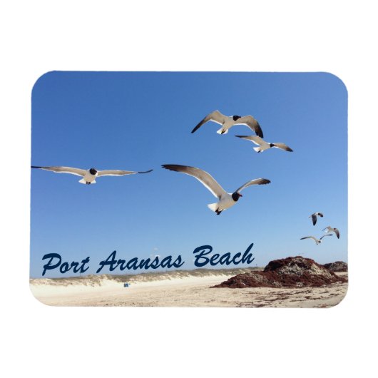 Port Aransas Seagull Fotografie  strand Magneet (Horizontaal)