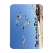 Port Aransas Seagull Fotografie  strand Magneet (Verticaal)