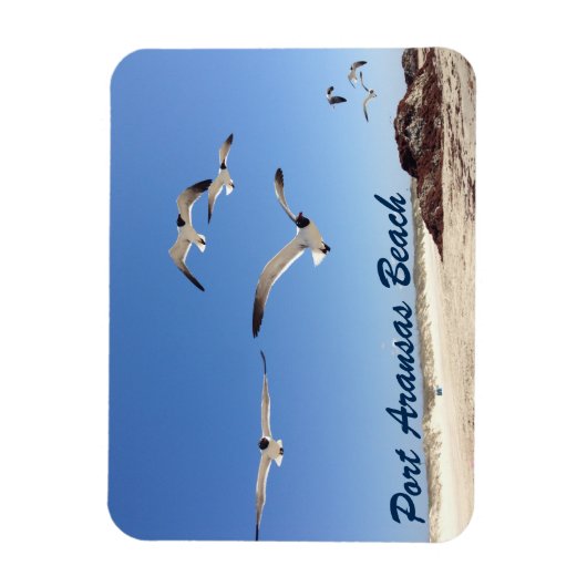 Port Aransas Seagull Fotografie  strand Magneet (Verticaal)