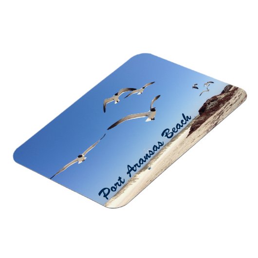 Port Aransas Seagull Fotografie  strand Magneet (Linkerzijde)