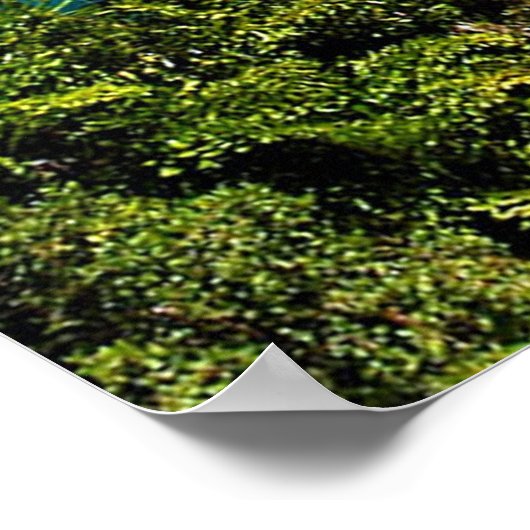 Port Douglas Poster (Hoek)