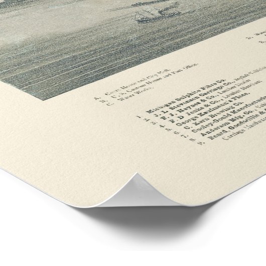 Port Huron, MI Panoramic Map - 1894 Poster (Hoek)