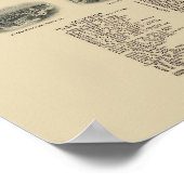 Port Jervis, NY Panoramic Map - 1920 Poster (Hoek)