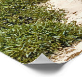 Port Kembla Wollongong Beach NSW Poster (Hoek)