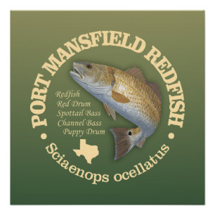 Port Mansfield (roodbaars) Perfect Poster