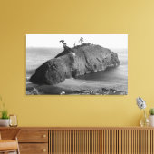 Port Orford, Uitzicht van Oregon Battle Rock Canvas Afdruk (Insitu (Woonkamer))