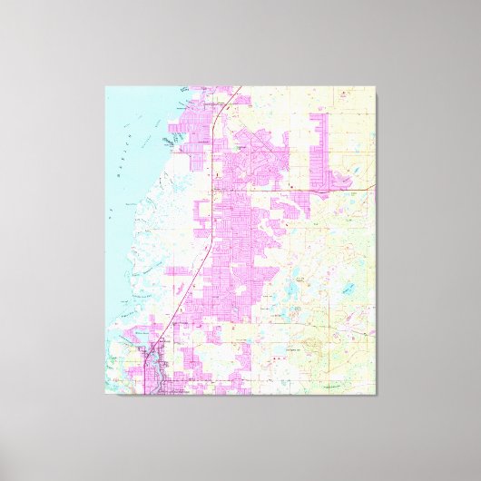 Port Richey & New Port Richey Florida Map (1954) Canvas Afdruk (Voorkant)