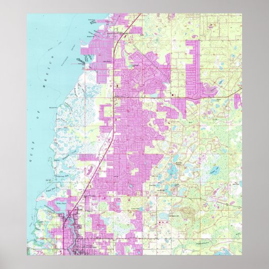 Port Richey & New Port Richey Florida Map (1954) Poster (Voorkant)