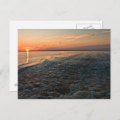 Port St Joe Sunset Briefkaart (Voorkant / Achterkant)