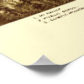 Port Townsend Washington Panoramic Map 1888 Poster (Hoek)