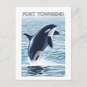 Port Townsend, WashingtonOrca Jumping Briefkaart
