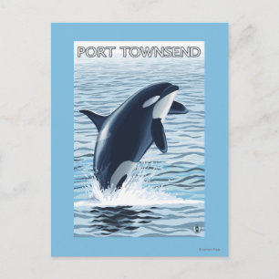 Port Townsend, WashingtonOrca Jumping Briefkaart