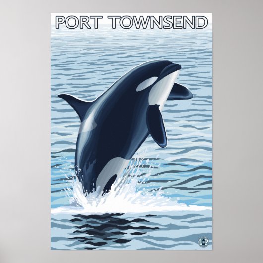 Port Townsend, WashingtonOrca Jumping Poster (Voorkant)