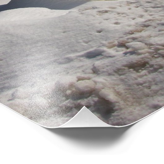 Portable Potty ~ Foto Foto Afdruk (Hoek)