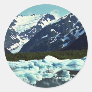 Portage Glacier, ten noorden van Port Seward, Alas Ronde Sticker