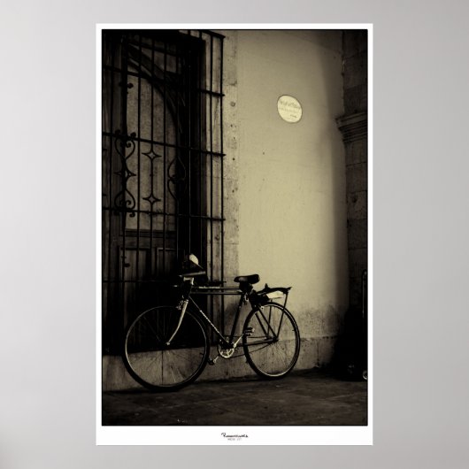 PORTAL DEL PALACIO-poster Poster (Voorkant)