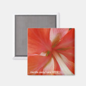 Portata Magneet (Voorkant / Achterkant)