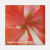 Portata Magneet (Voorkant)