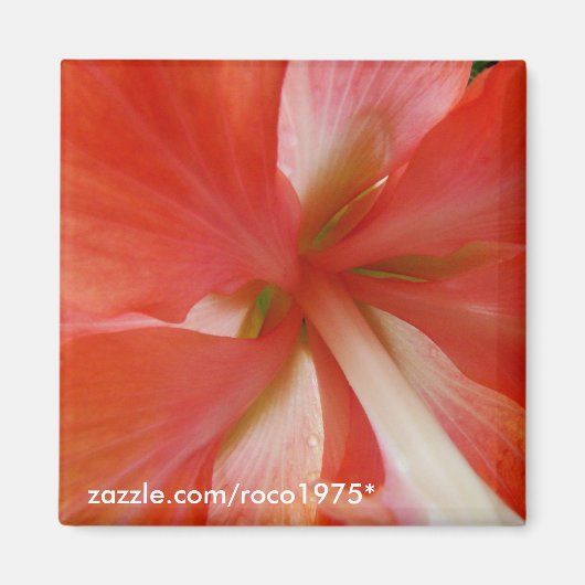 Portata Magneet (Voorkant)