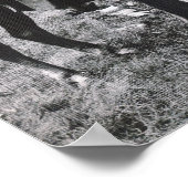 PORTFOLIO PRINT 11 X 13.31 (Hoek)