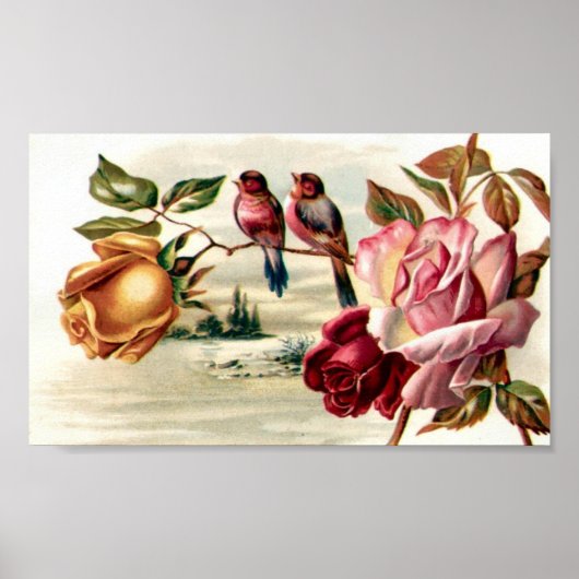 Portfolio Vintage Bird Roses Poster (Voorkant)