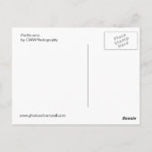 Porthcurno Briefkaart (Achterkant)