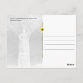 Portico van de Washerwoman, Barcelona, Spanje - Briefkaart (Achterkant)