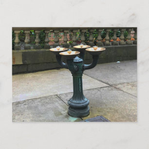 Portland Benson Bubblers #1 Briefkaart