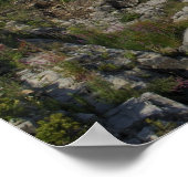 Portland Head Light, Cape Elizabeth,Maine Poster (Hoek)