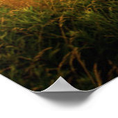 Portland Head Light | Kaap Elizabeth ME Poster (Hoek)